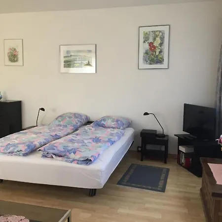 Apartman Doris By Interhome Locarno