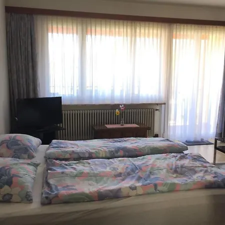 Apartman Doris By Interhome Locarno